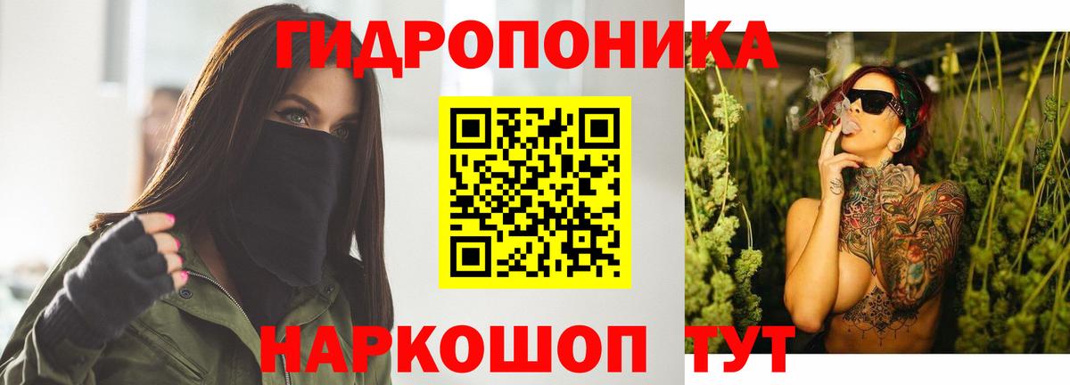 Бошки марихуана семена  Вход с VPN  Каннабис планчик  Славянск-на-Кубани  Бошки марихуана планчик 